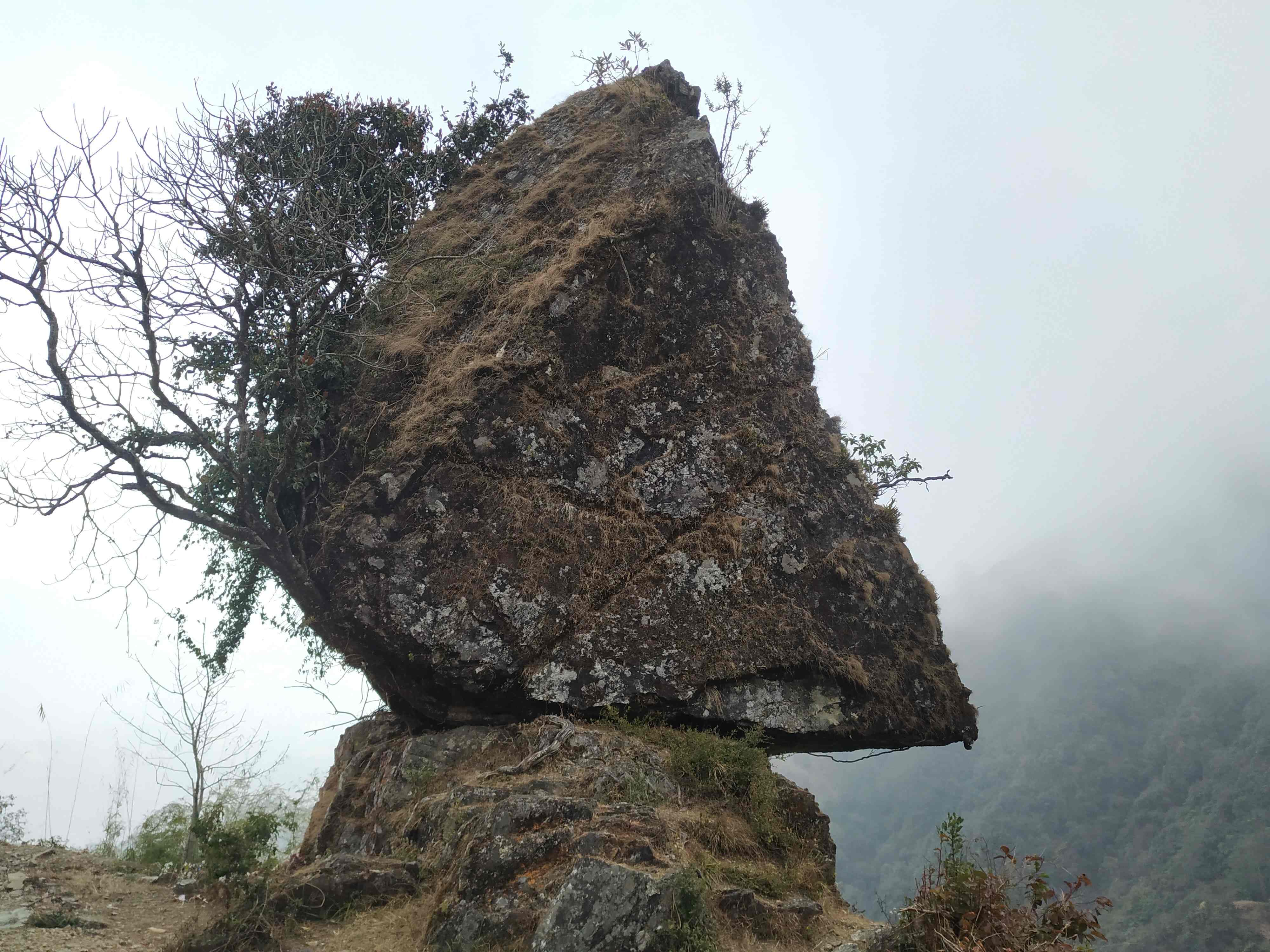 Chana Devi Chana Devi